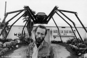 Ref Only in America 2 – Coccinelle transformée en araignée, Palm Springs, Californie