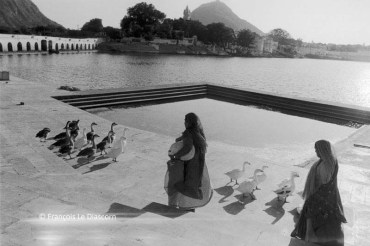 Ref Inde 17 – Femmes avec canards, Pushkar, Rajasthan, Inde