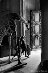 Ref Zoo 2 – Girafe devant des enfants sortant de la grande nef de la galerie