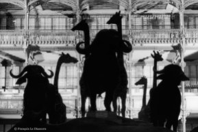 Ref Zoo 3 – La grande nef de la galerie avec buffles et girafes en silhouette